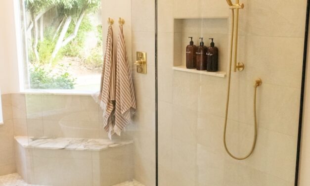 Conseils pour nettoyer et entretenir une paroi de douche
